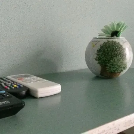 Appartement Lotus Flower *